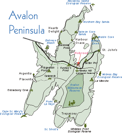 Avalon Peninsula