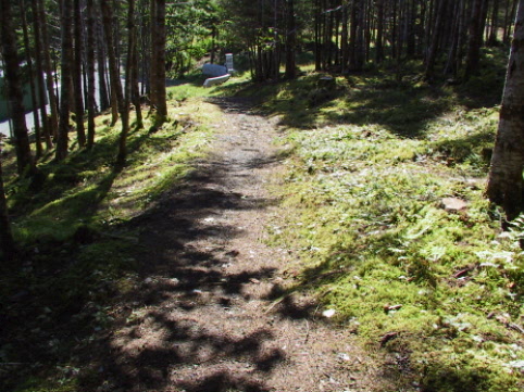 Trail leading to the well